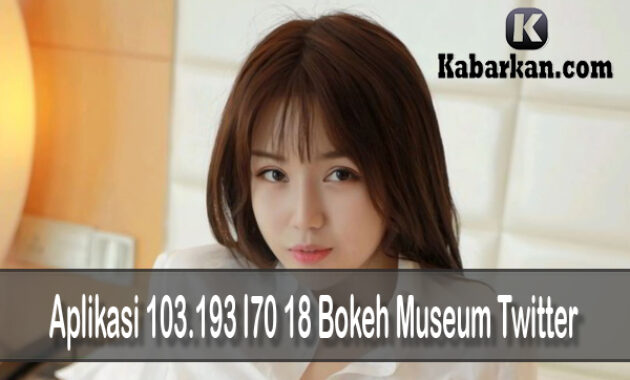 103.193 l70 18 Bokeh Museum Twitter Bokeh
