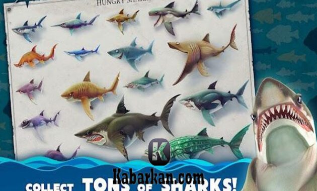 Beragam-Fitur-Hungry-Shark-World-Mod-Apk