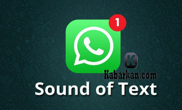 Kelebihan-Situs-Sound-of-Text-WhatsApp