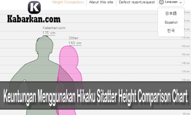 Keuntungan Menggunakan Hikaku Sitatter Height Comparison Chart