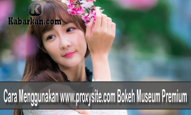 Cara Menggunakan www.proxysite.com Bokeh Museum Premium