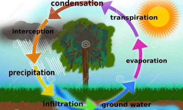 Dengan sebaliknya atmosfer daur siklus juga air dari bumi perputaran atau disebut ke air proses HIDROLOGI: siklus