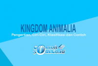 Kingdom animalia