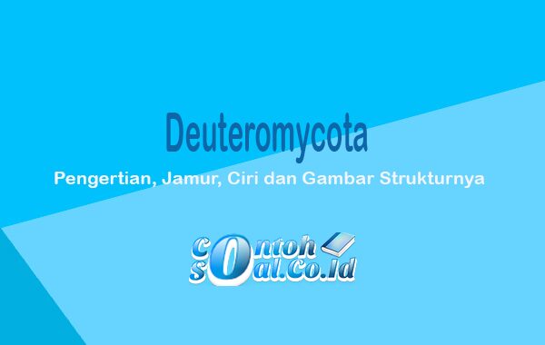 Deuteromycota 