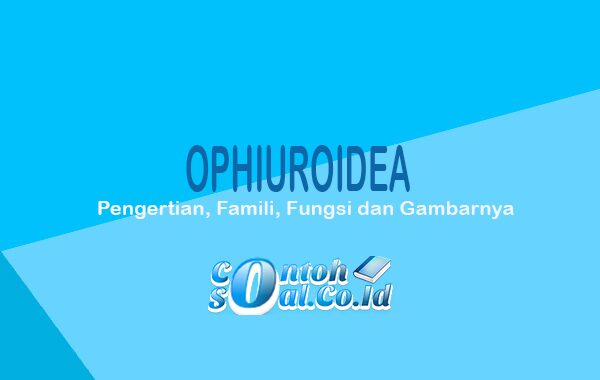 Ophiuroidea 