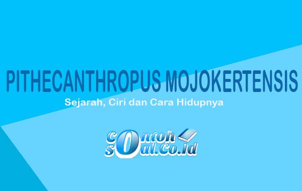 Pithecanthropus Mojokertensis