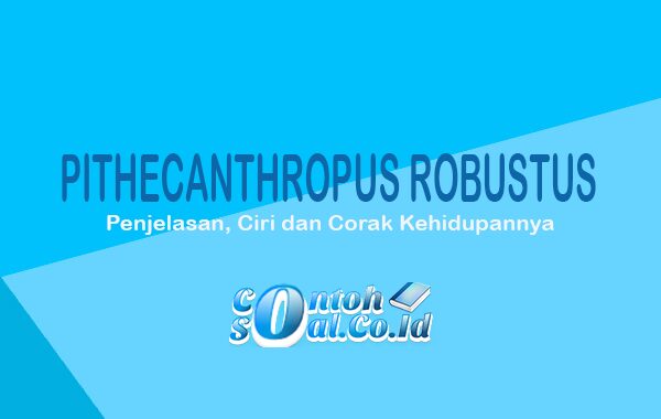 Pithecanthropus Robustus Penjelasan Ciri Dan Corak Kehidupannya