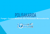 Polisakarida