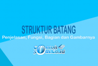 Struktur Batang