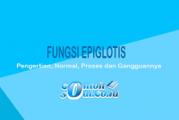 Fungsi Epiglotis