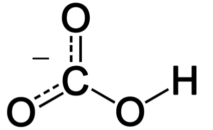 HCO3 (Bikarbonat)