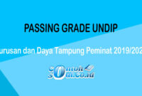 Passing Grade UNDIP