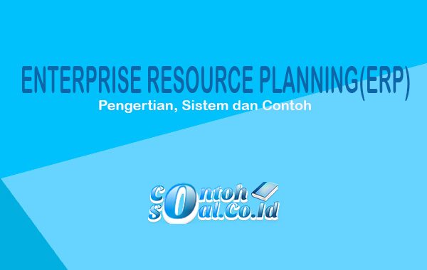  Enterprise Resource Planning (ERP)