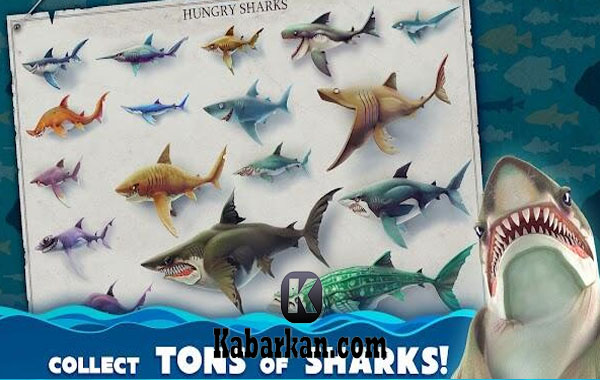 Beragam-Fitur-Hungry-Shark-World-Mod-Apk