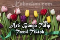 Arti Bunga Tulip Trend Tiktok yang Viral