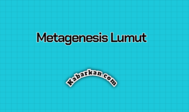 Metagenesis Lumut