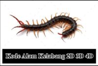 Kode Alam Kelabang 2D 3D 4D